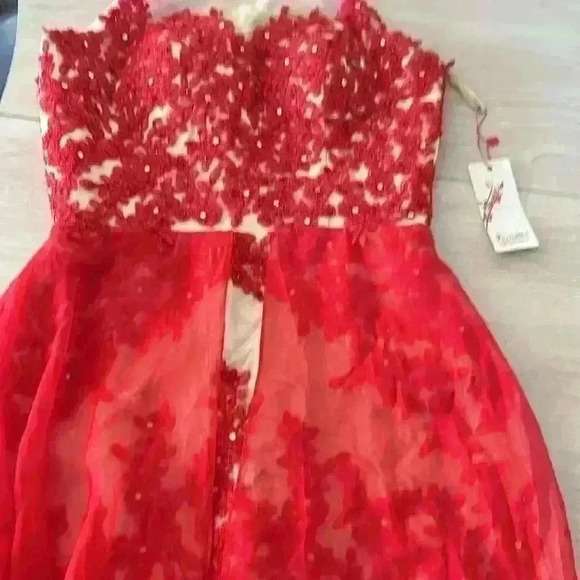 Red and Cream Floral Lace Halter Neck Evening Gown Prom Dress - Picture 6 of 17